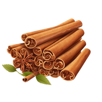 True Ceylon Cinnamon Extract